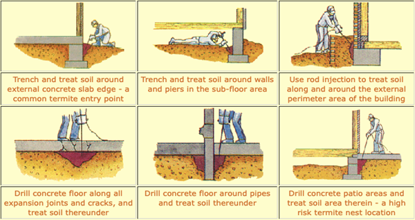 Termite Baiting Diagram