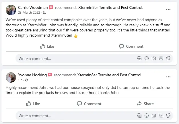 Spiders Pest Control Facebook Reviews
