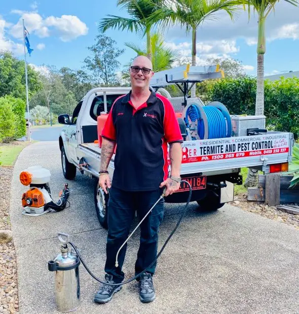 Ant Control Inspection & Treatment