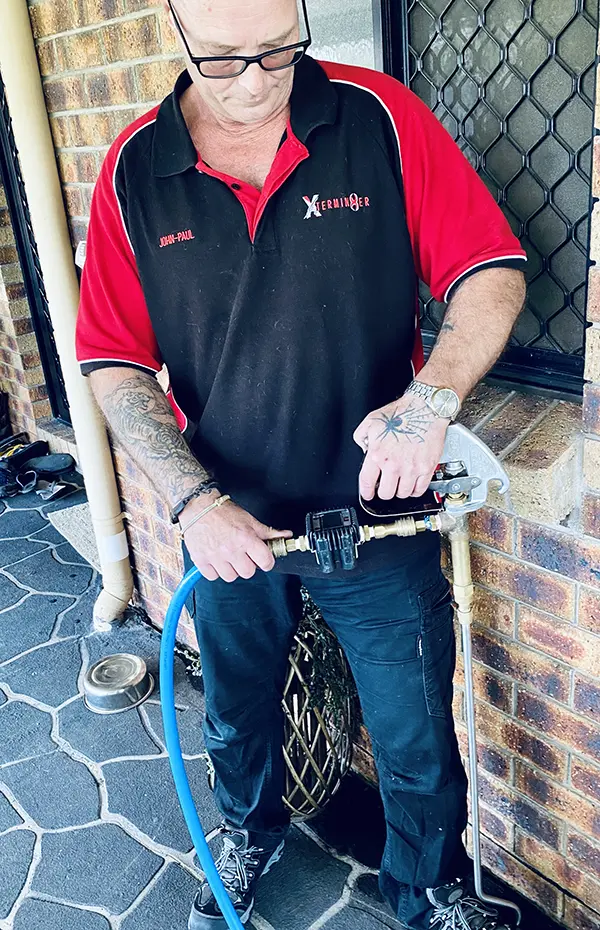 Termite Pest Control in Springfield Lakes