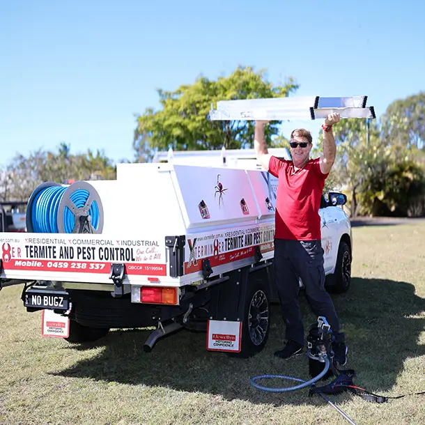 Pest Control Services in Brisbane & Ipswich