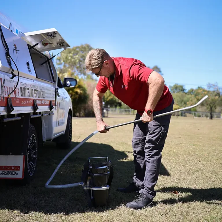 Ant Control Near Ipswich