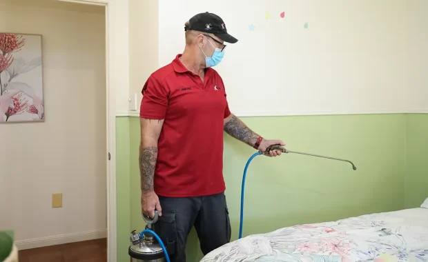 Bed Bug Pest Control Services