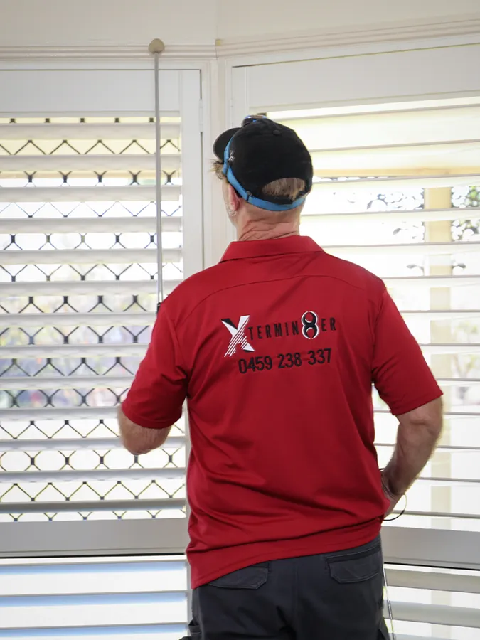 General Pest Control Service in Brisbane