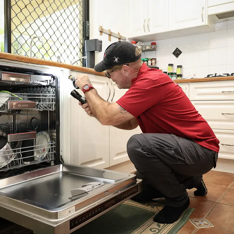 Cockroach Pest Control Services near Logan
