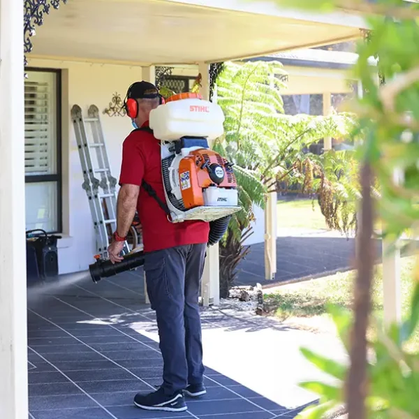 Pest Control Services Near Springfield Pest Control Services Near Springfield